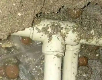 滨海测漏水多少钱