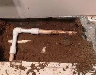 滨海测漏水哪家好