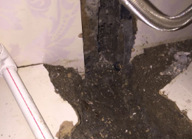 滨海卫生间测漏水哪家好