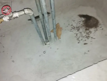 滨海卫生间测漏水价格明细