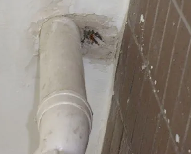 滨海漏水检测哪家好